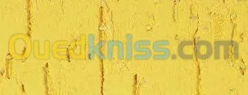 chercher maçon pour brique et crépissa