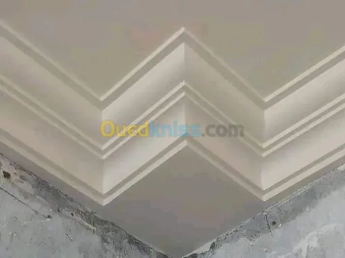 ديكور جبس   plater et décoration