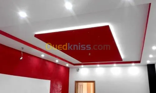Faux plafond placoplatre et pvc
