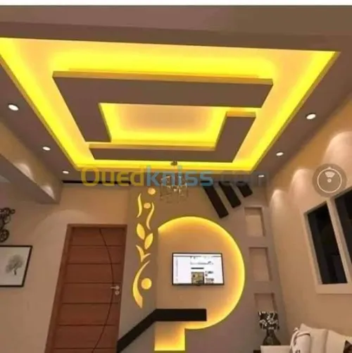Faux plafond placoplatre et pvc