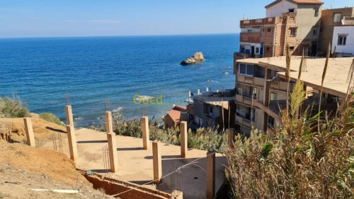 Vente Terrain Tipaza Tipaza