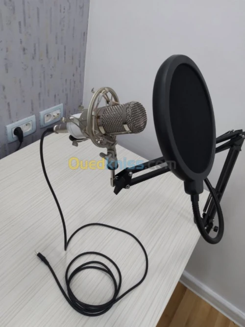 Kit Microphone Professionnel BM-800