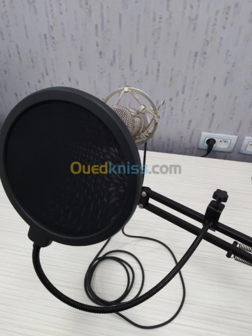 Kit Microphone Professionnel BM-800