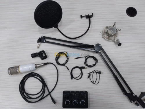 Kit Microphone Professionnel BM-800