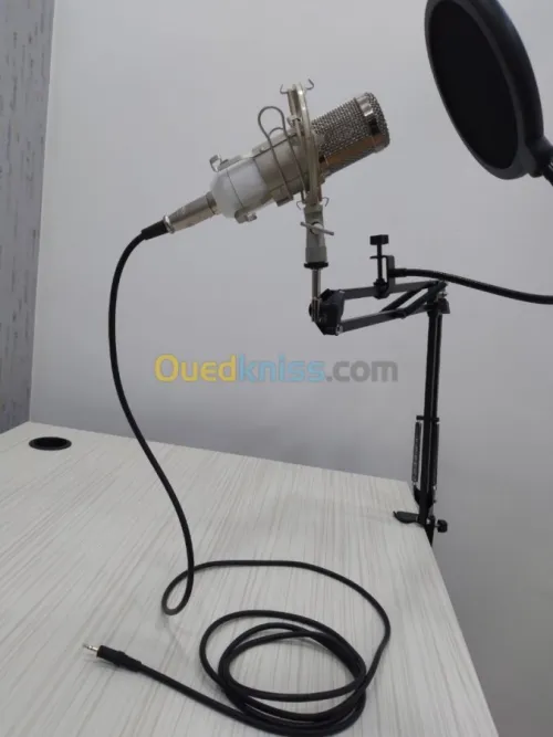 Kit Microphone Professionnel BM-800
