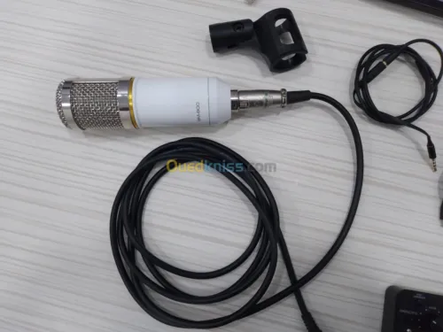 Kit Microphone Professionnel BM-800