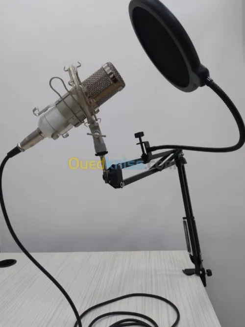 Kit Microphone Professionnel BM-800