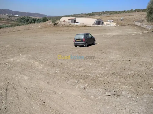 Vente Terrain Boumerdes Bouzegza keddara