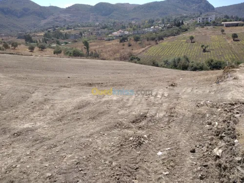 Vente Terrain Boumerdes Bouzegza keddara
