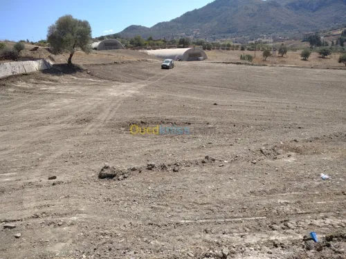 Vente Terrain Boumerdes Bouzegza keddara