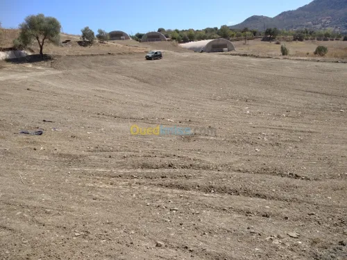 Vente Terrain Boumerdes Bouzegza keddara