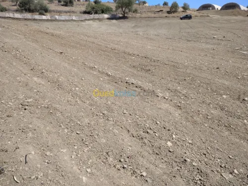 Vente Terrain Boumerdes Bouzegza keddara