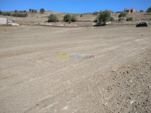Vente Terrain Boumerdes Bouzegza keddara