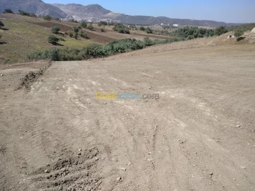 Vente Terrain Boumerdes Bouzegza keddara