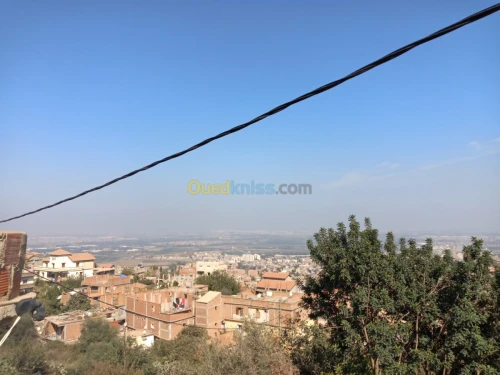 Vente Appartement F3 Blida Meftah