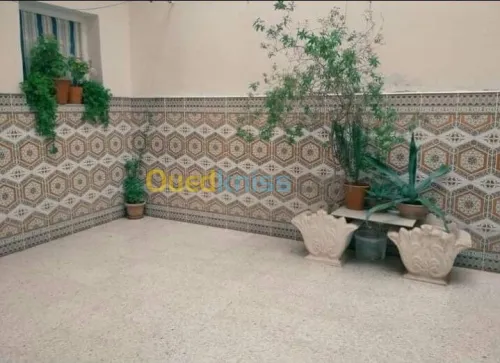 Vente Appartement F10 Tebessa Cheria