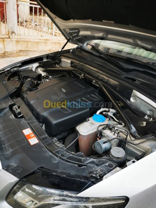 Audi Q5 2009 Off Road