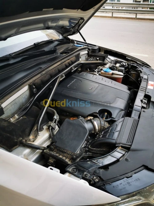 Audi Q5 2009 Off Road