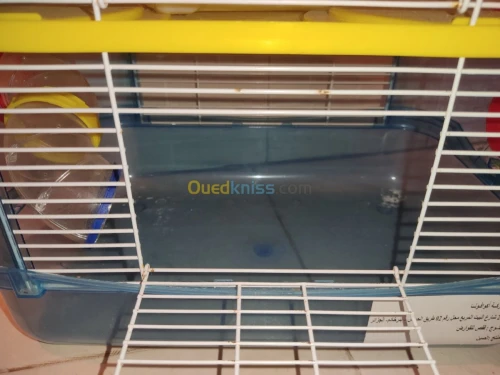 Cage hamster
