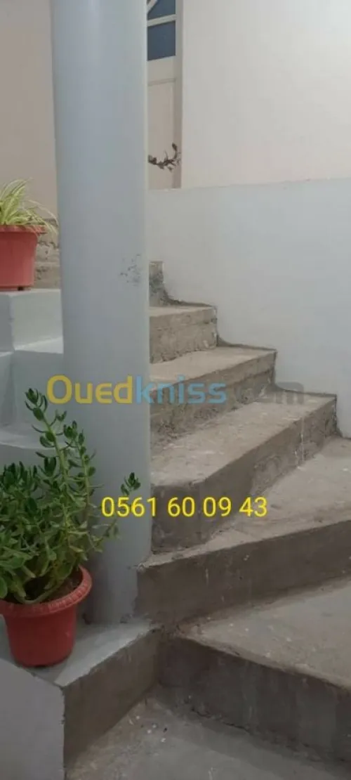 Vente Duplex F9 Tlemcen Tlemcen