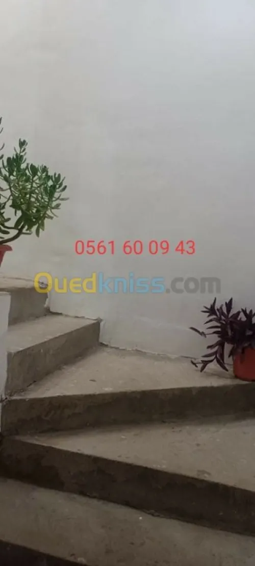 Vente Duplex F9 Tlemcen Tlemcen