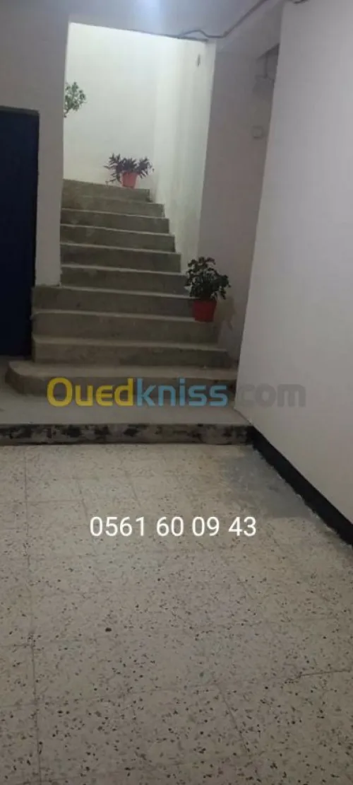 Vente Duplex F9 Tlemcen Tlemcen