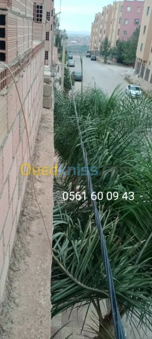 Vente Duplex F9 Tlemcen Tlemcen