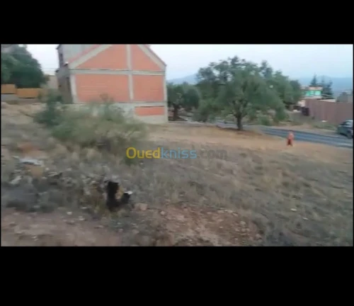Vente Terrain Bouira Chorfa
