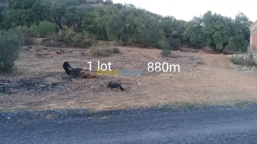 Vente Terrain Bouira Chorfa