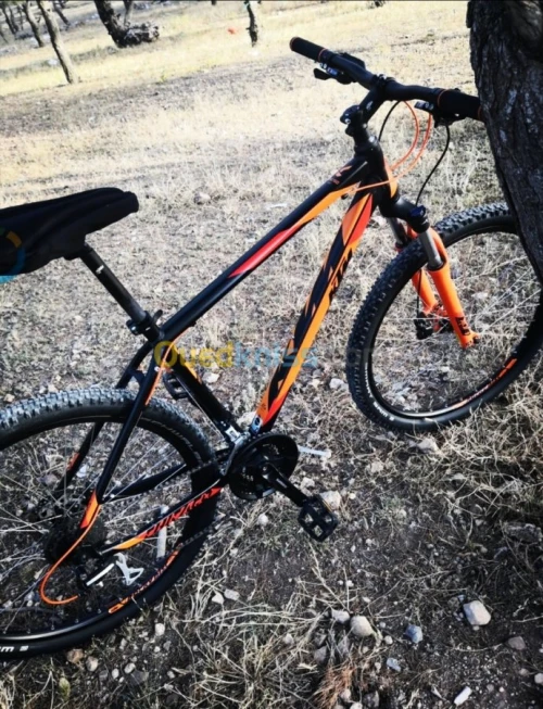 Vélo KTM Original دراجة هوائية