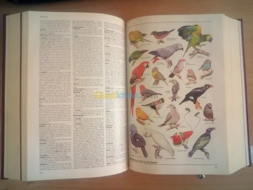 Le petit LAROUSSE illustré Grand