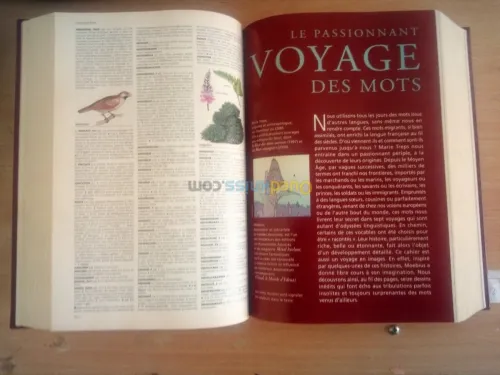 Le petit LAROUSSE illustré Grand