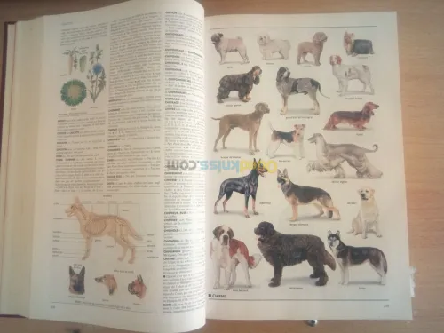 Le petit LAROUSSE illustré Grand