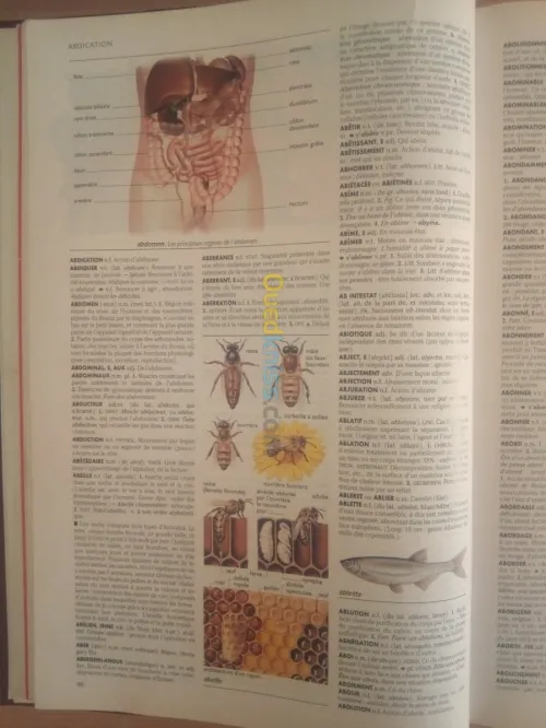 Le petit LAROUSSE illustré Grand