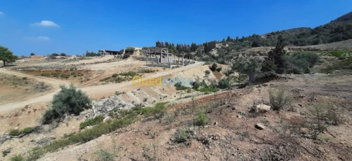 Vente Terrain Blida Bouarfa