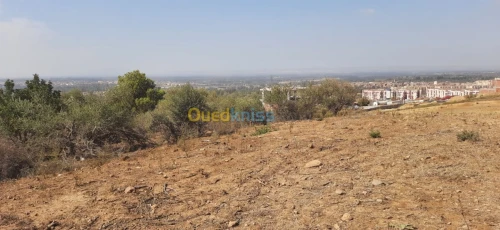Vente Terrain Blida Bouarfa