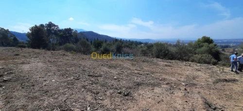 Vente Terrain Blida Bouarfa