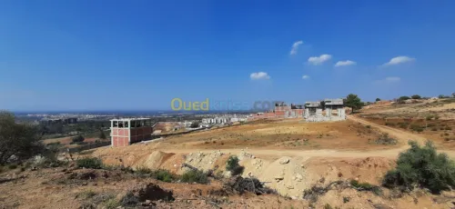 Vente Terrain Blida Bouarfa