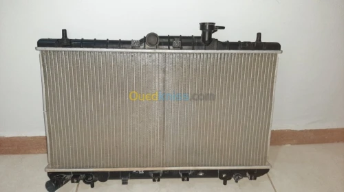  Radiateur+flotteur accent original