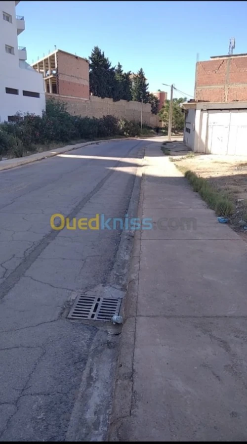 Location Local Mostaganem Mostaganem