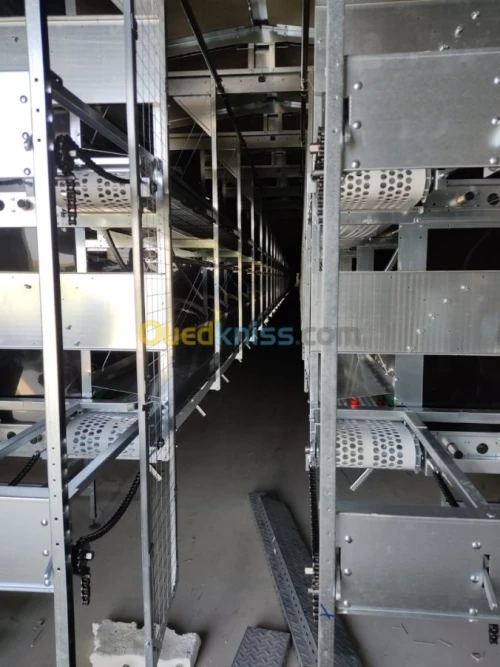 Batterie poule pondeuse