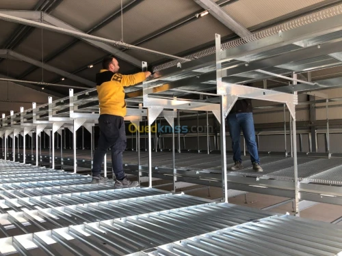 Batterie poule pondeuse