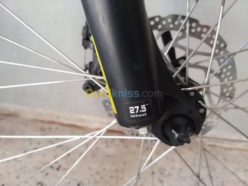 Velo Specialized  