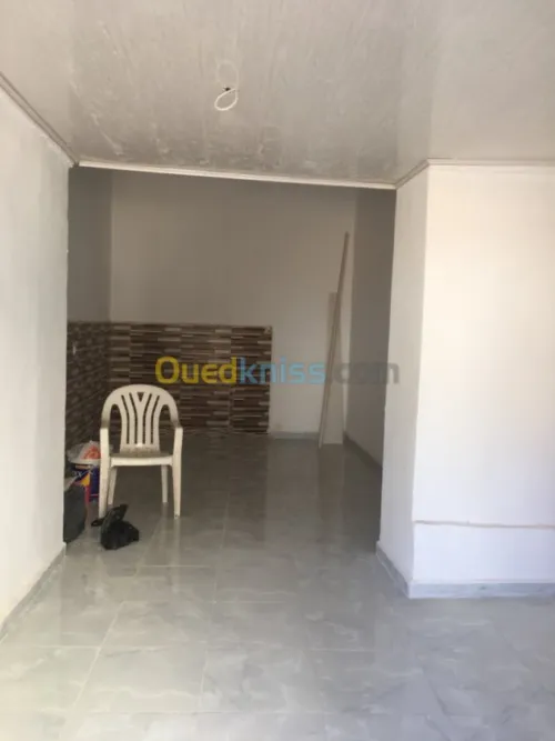 Location Local Tipaza Kolea