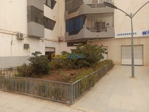 Vente Local Sidi bel abbes Sidi bel abbes