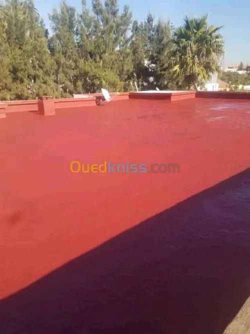 عزل واصلاح جميع الأسطح المتضررة من ماء