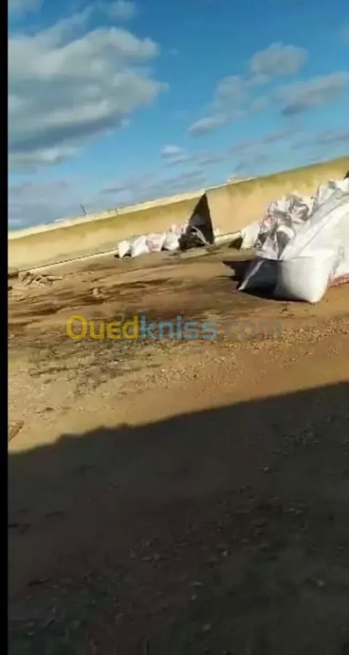 عزل واصلاح جميع الأسطح المتضررة من ماء