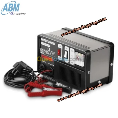 Chargeur de Batterie de Voiture _CROWN