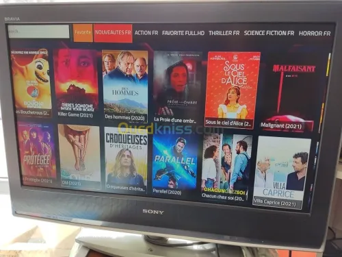 IPTV STABLE 