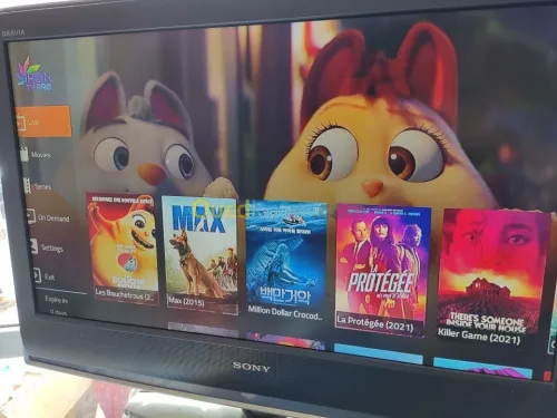 IPTV STABLE 